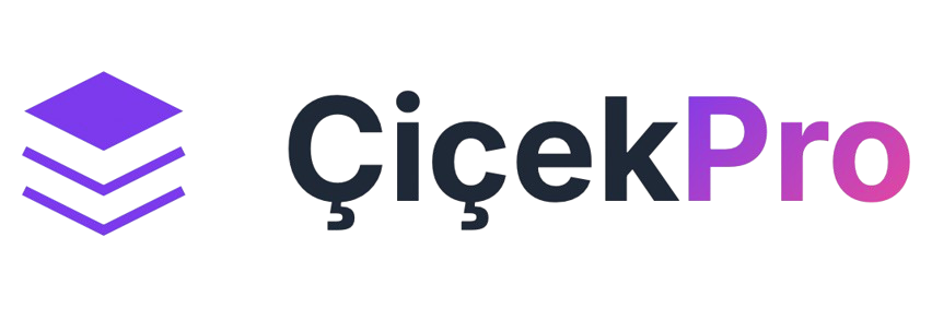 More Dijital